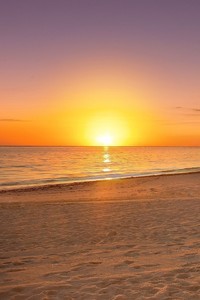 佛罗伦萨客场胜利都灵，取得关键胜利