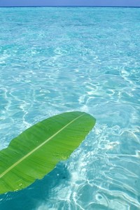 美国田径运动员再次蝉联冠军