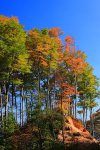 巴西篮球明星受伤，或无缘世界杯参赛