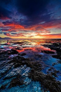 佛罗伦萨客场胜利都灵，取得关键胜利