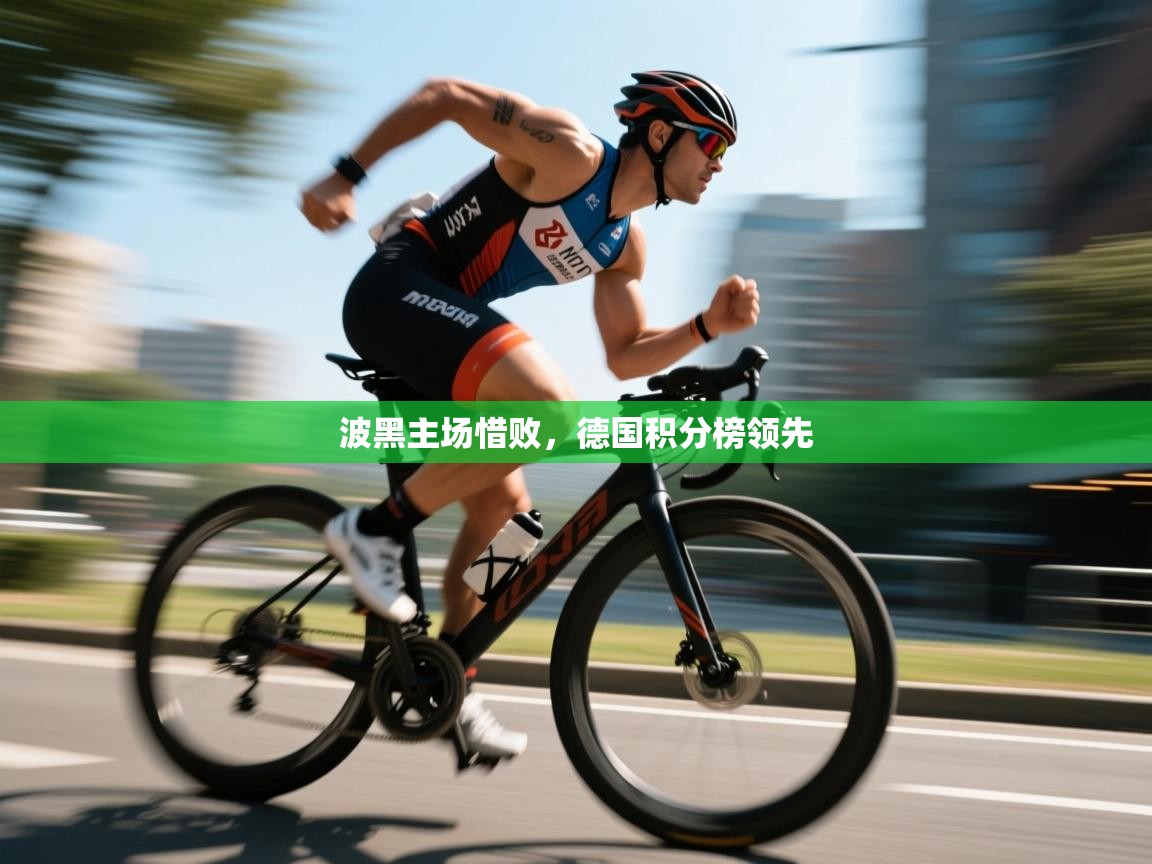 波黑主场惜败，德国积分榜领先  第1张