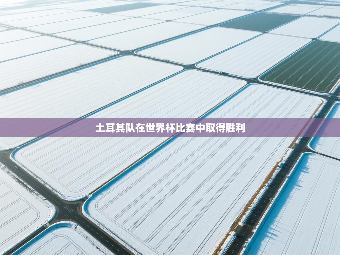 土耳其队在世界杯比赛中取得胜利