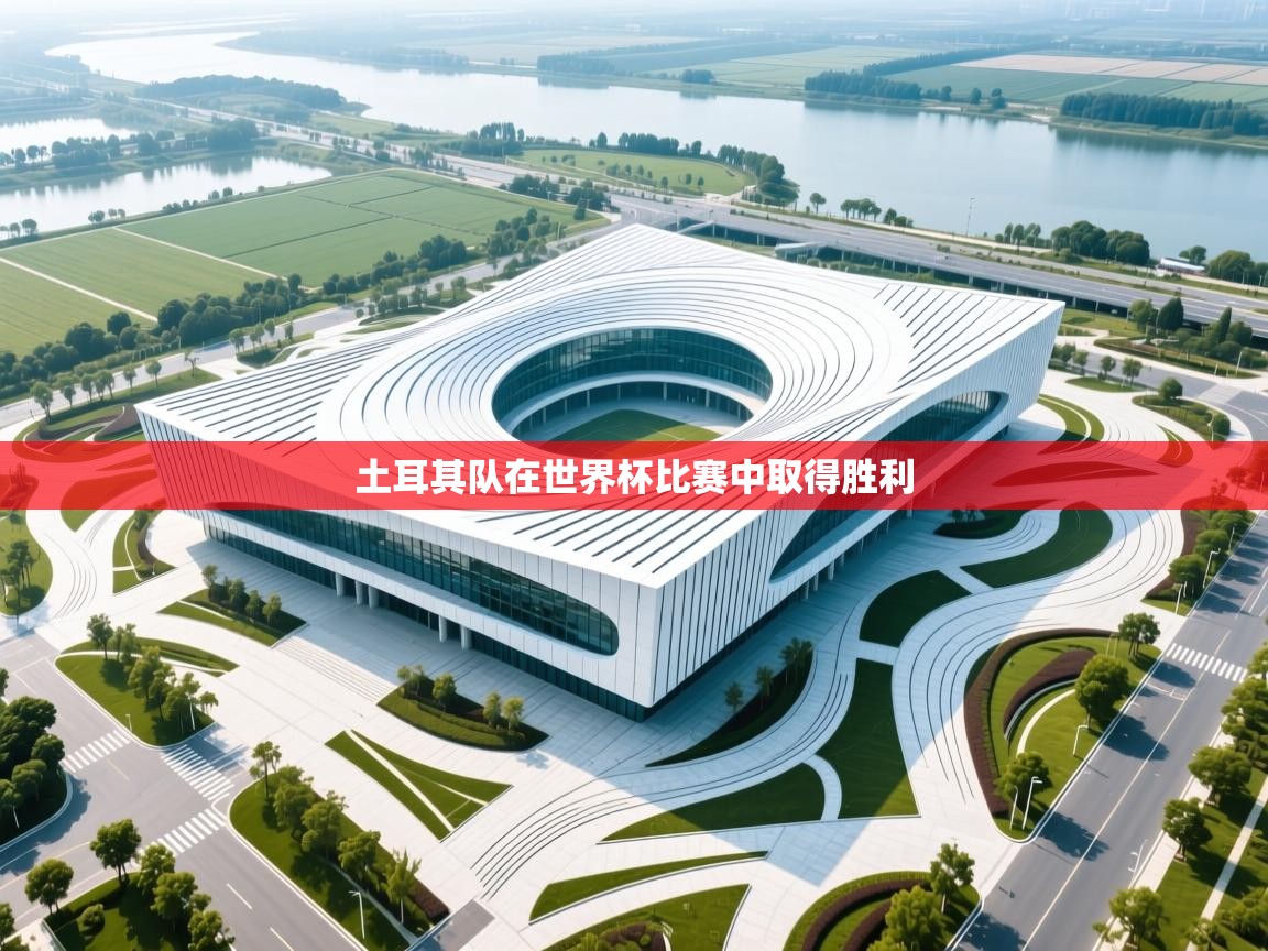 土耳其队在世界杯比赛中取得胜利  第2张