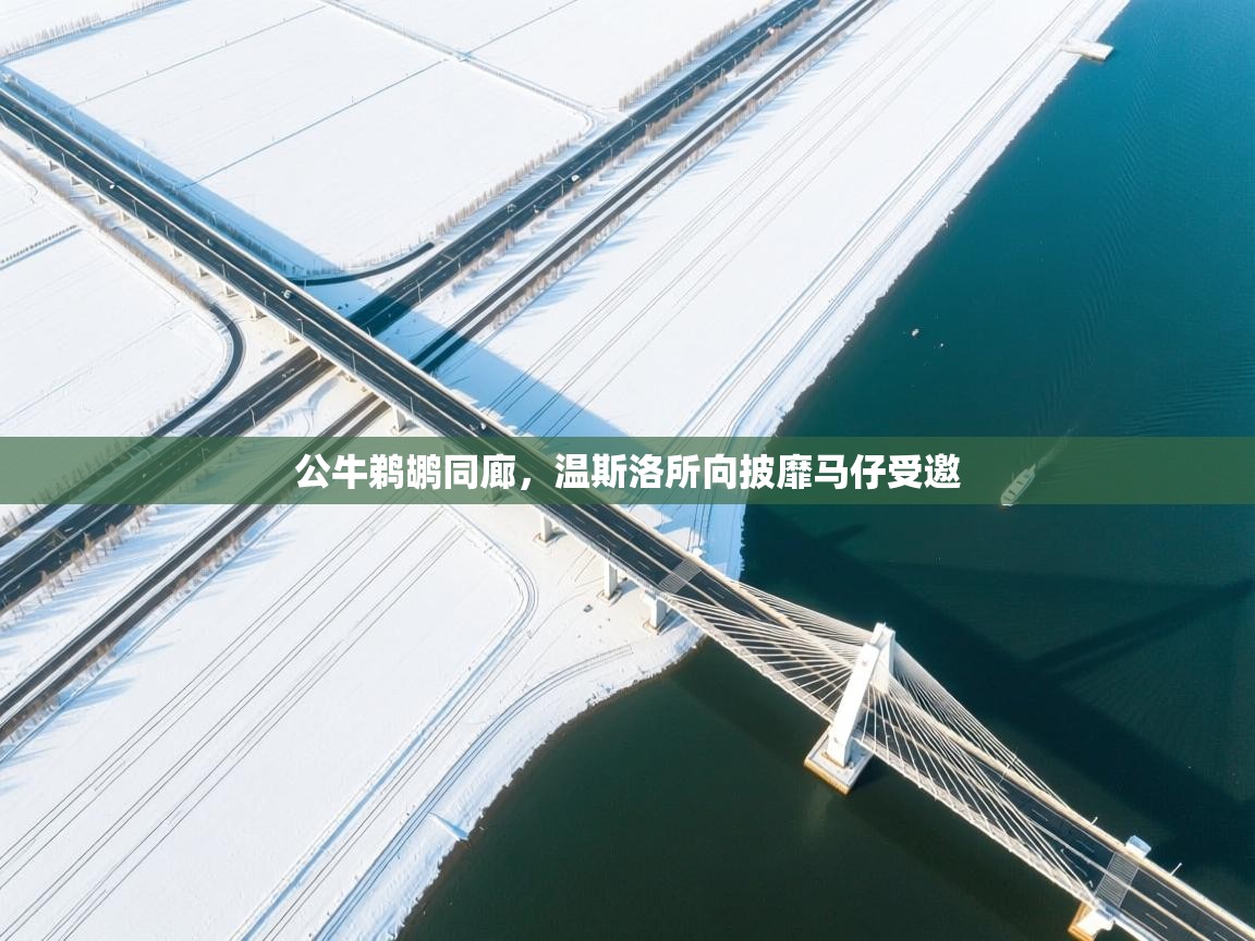 公牛鹈鹕同廊，温斯洛所向披靡马仔受邀  第1张