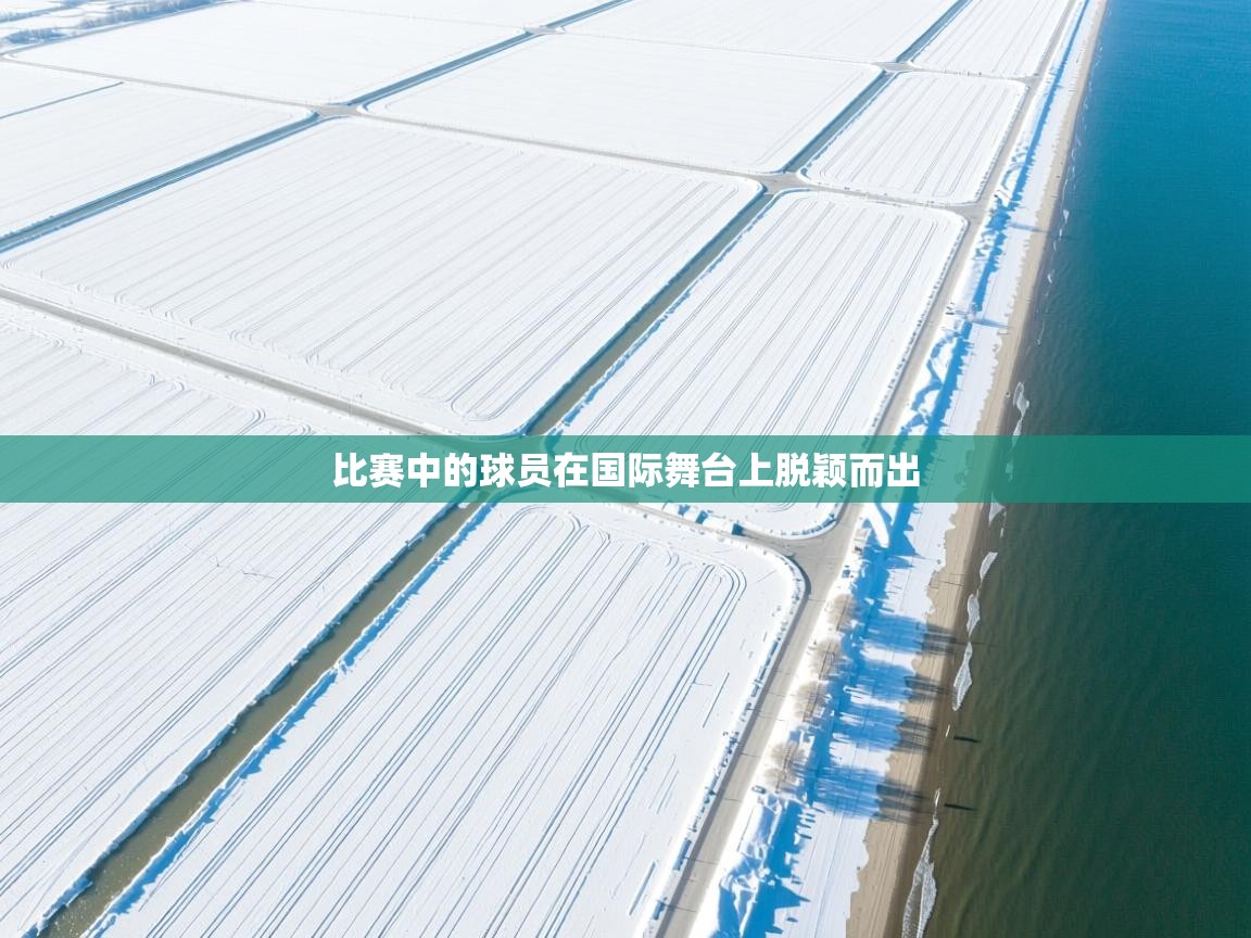 比赛中的球员在国际舞台上脱颖而出  第1张